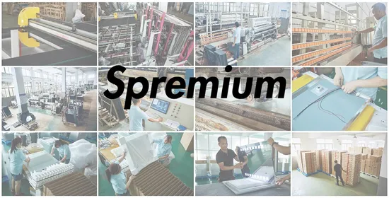 楕円形のフレームの壁の装飾的な積層 LED スマート フロートの浴室のガラス